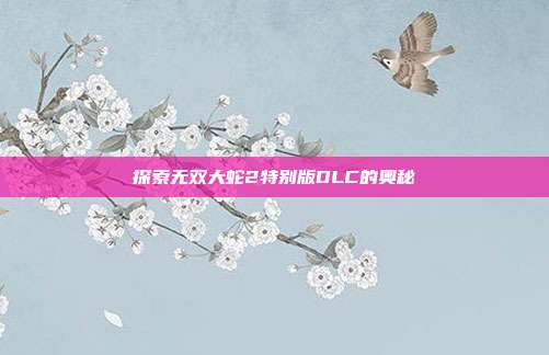 探索无双大蛇2特别版DLC的奥秘