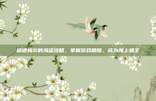 席德梅尔的海盗攻略，掌握游戏精髓，成为海上霸主