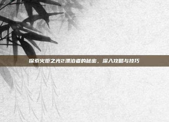 探索火炬之光2漂泊者的秘密，深入攻略与技巧