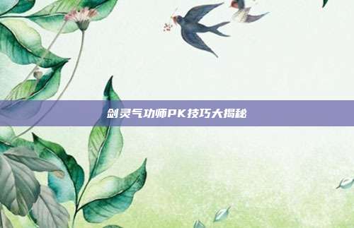 剑灵气功师PK技巧大揭秘