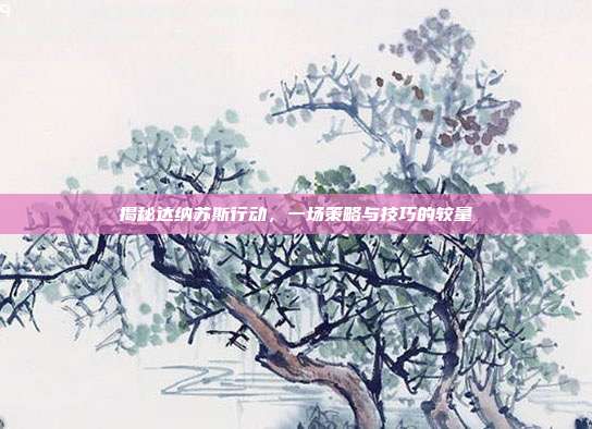 揭秘达纳苏斯行动,一场策略与技巧的较量