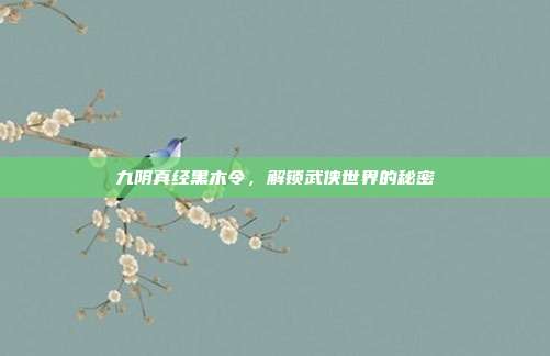 九阴真经黑木令，解锁武侠世界的秘密