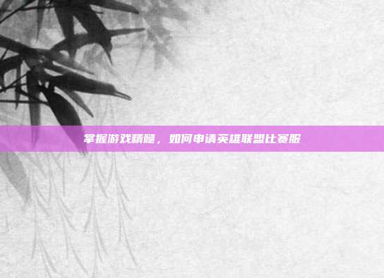 掌握游戏精髓，如何申请英雄联盟比赛服