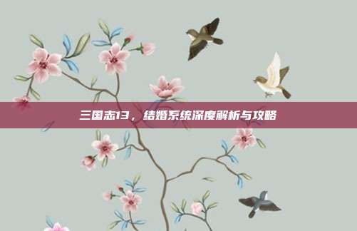 三国志13,结婚系统深度解析与攻略