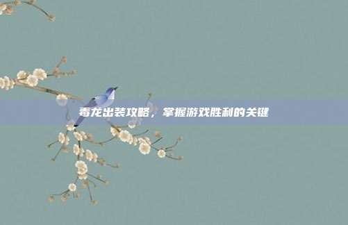 毒龙出装攻略,掌握游戏胜利的关键
