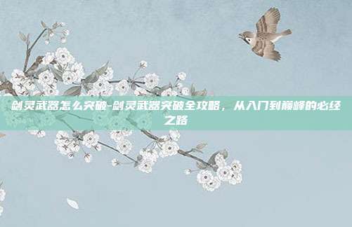 剑灵武器怎么突破-剑灵武器突破全攻略，从入门到巅峰的必经之路
