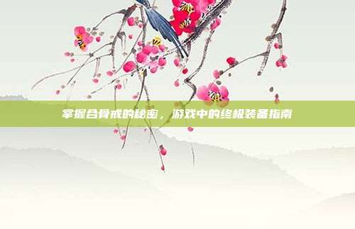 掌握合骨戒的秘密,游戏中的终极装备指南