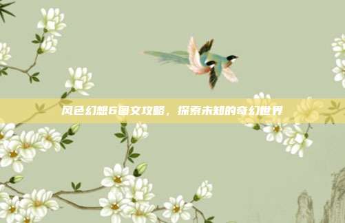 风色幻想6图文攻略,探索未知的奇幻世界
