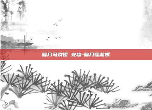 暗月马戏团 宠物-暗月鹦鹉螺