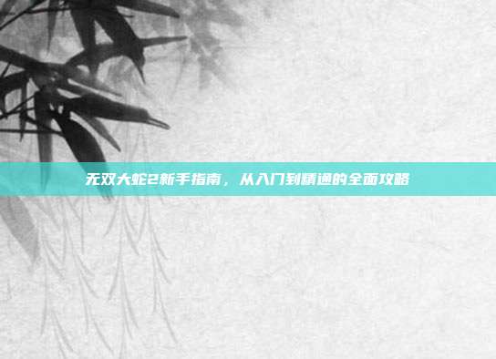 无双大蛇2新手指南，从入门到精通的全面攻略
