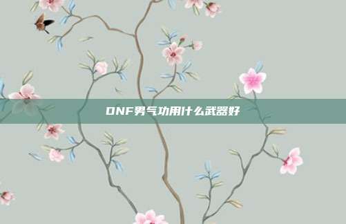 DNF男气功用什么武器好