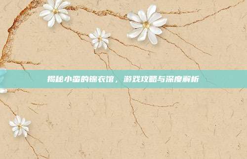 揭秘小蛮的锦衣馆，游戏攻略与深度解析
