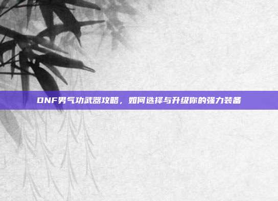 DNF男气功武器攻略，如何选择与升级你的强力装备