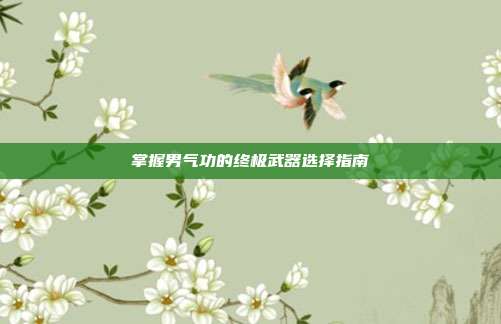 掌握男气功的终极武器选择指南