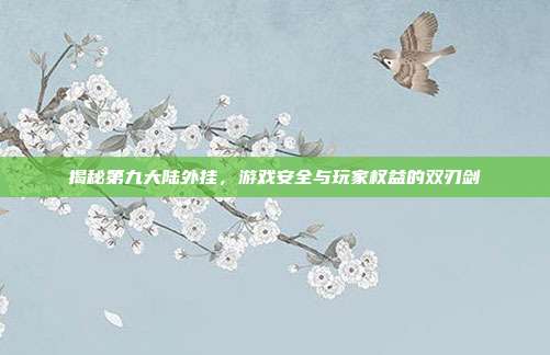 揭秘第九大陆外挂,游戏安全与玩家权益的双刃剑