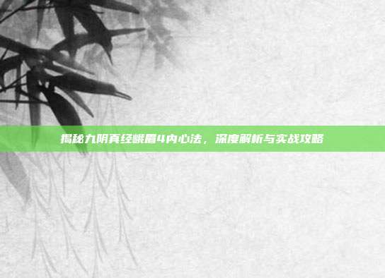揭秘九阴真经峨眉4内心法,深度解析与实战攻略