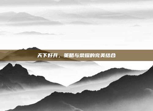 天下好兵,策略与荣耀的完美结合
