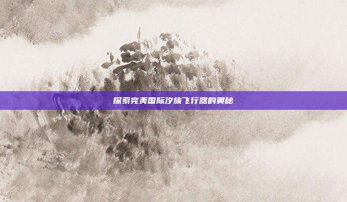 探索完美国际汐族飞行器的奥秘