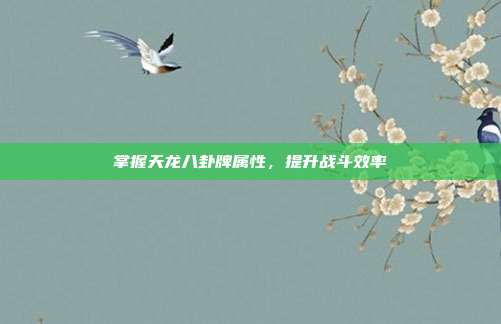 掌握天龙八卦牌属性,提升战斗效率