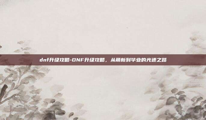 dnf升级攻略-DNF升级攻略，从萌新到毕业的光速之路