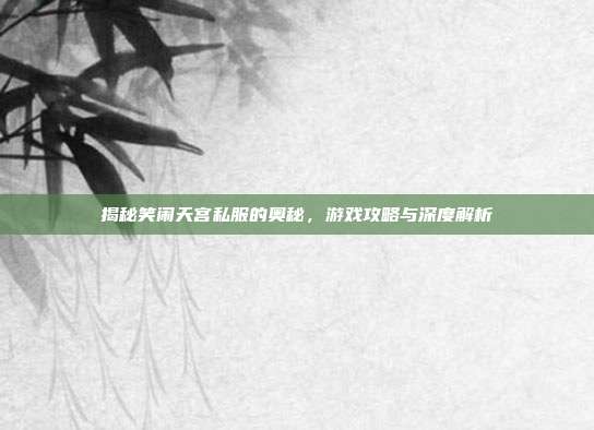 揭秘笑闹天宫私服的奥秘,游戏攻略与深度解析