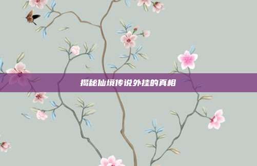 揭秘仙境传说外挂的真相