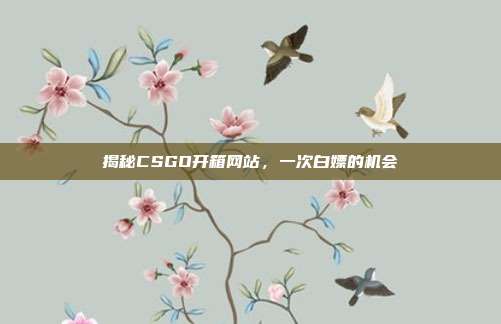 揭秘CSGO开箱网站，一次白嫖的机会