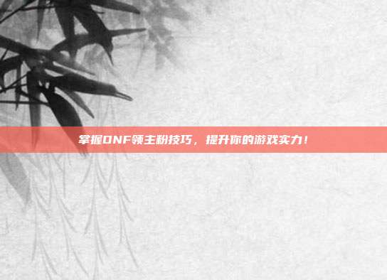 掌握DNF领主粉技巧,提升你的游戏实力!