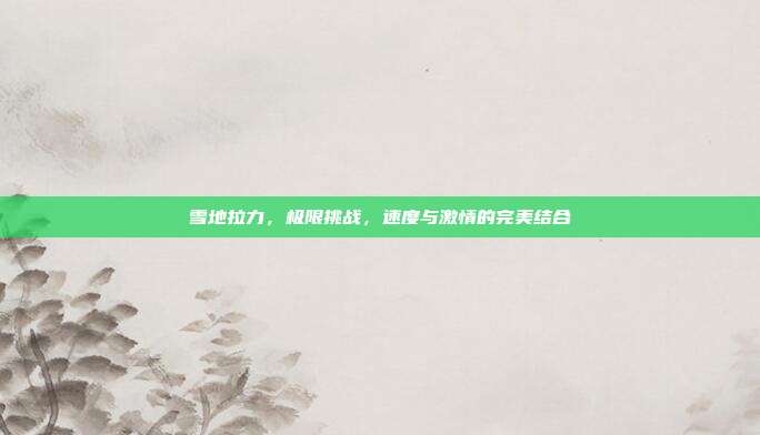 雪地拉力，极限挑战，速度与激情的完美结合