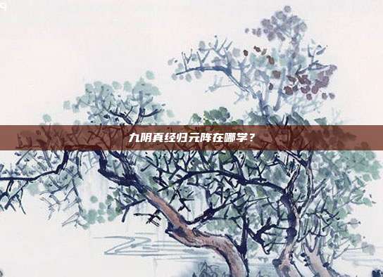 九阴真经归元阵在哪学?