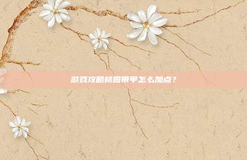 游戏攻略桃园带甲怎么加点？