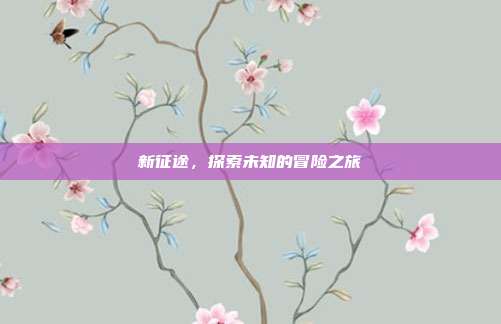 新征途，探索未知的冒险之旅