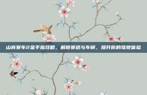 山脊赛车2金手指攻略，解锁赛道与车辆，提升你的驾驶体验