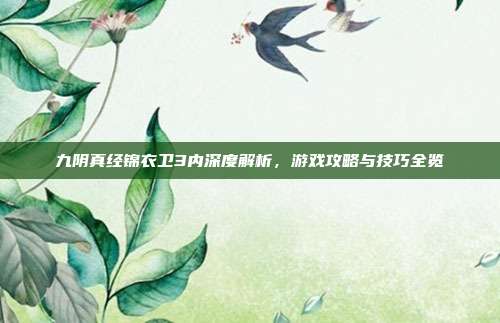 九阴真经锦衣卫3内深度解析,游戏攻略与技巧全览