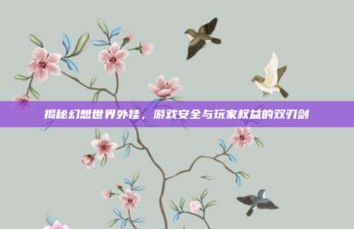 揭秘幻想世界外挂，游戏安全与玩家权益的双刃剑