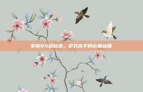 掌握85登陆器,游戏高手的必备秘籍