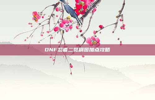 DNF忍者二觉刷图加点攻略
