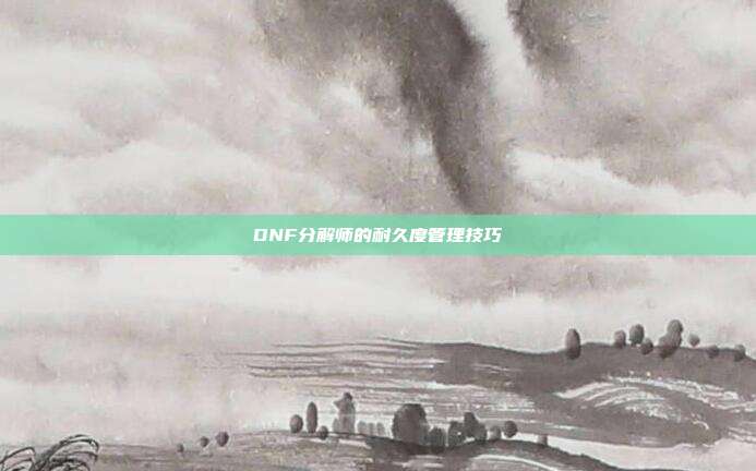 DNF分解师的耐久度管理技巧