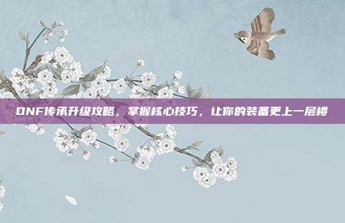 DNF传承升级攻略,掌握核心技巧,让你的装备更上一层楼