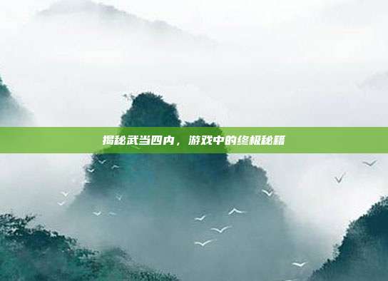 揭秘武当四内,游戏中的终极秘籍