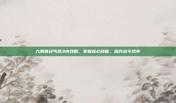 九阴真经丐帮3内攻略,掌握核心技能,提升战斗效率