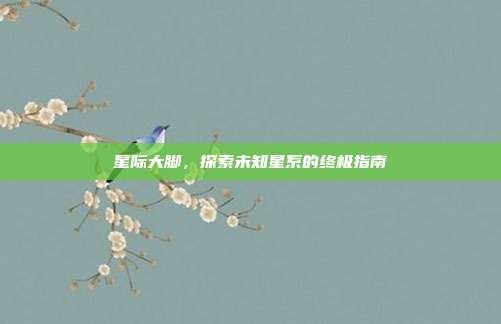 星际大脚，探索未知星系的终极指南