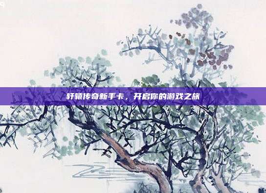 轩辕传奇新手卡，开启你的游戏之旅