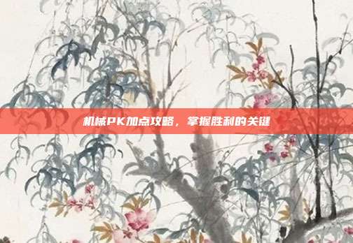机械PK加点攻略,掌握胜利的关键