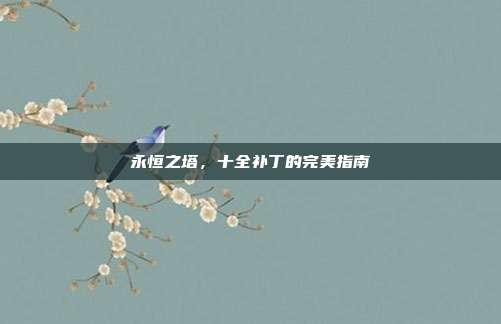 永恒之塔，十全补丁的完美指南