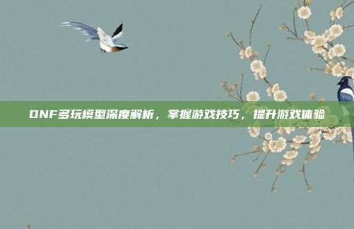 DNF多玩模型深度解析,掌握游戏技巧,提升游戏体验