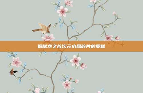 揭秘龙之谷次元水晶碎片的奥秘