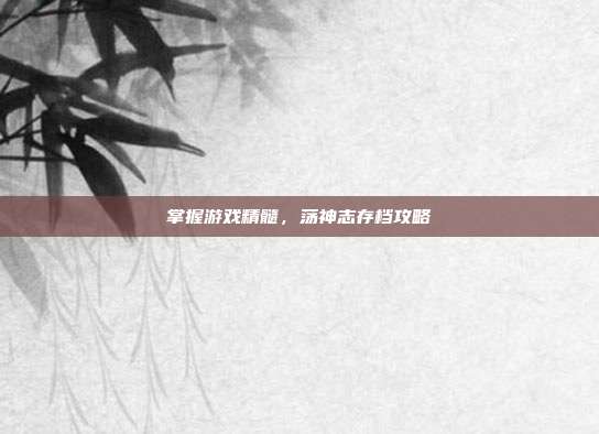 掌握游戏精髓,荡神志存档攻略