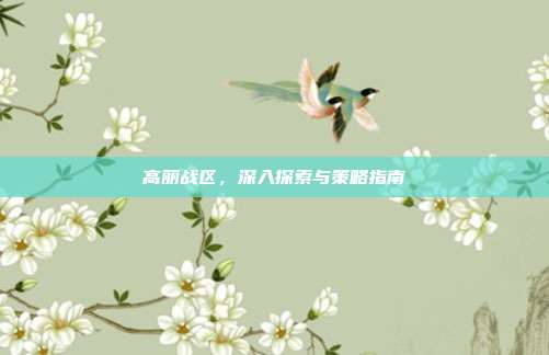 高丽战区，深入探索与策略指南