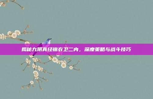 揭秘九阴真经锦衣卫二内,深度策略与战斗技巧